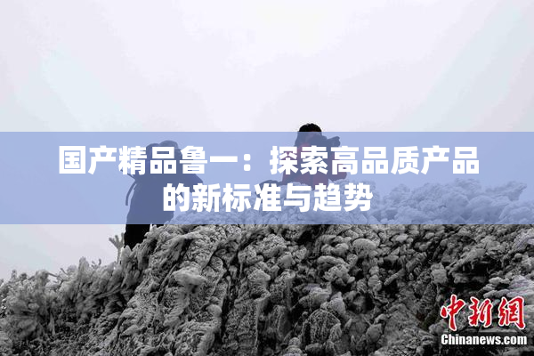 国产精品鲁一：探索高品质产品的新标准与趋势
