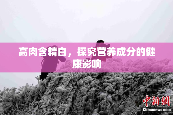 高肉含精白，探究营养成分的健康影响
