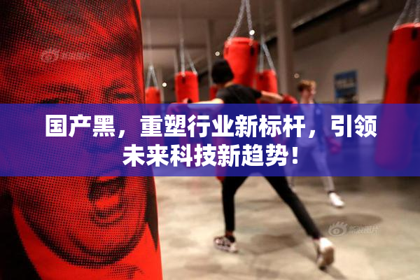 国产黑，重塑行业新标杆，引领未来科技新趋势！