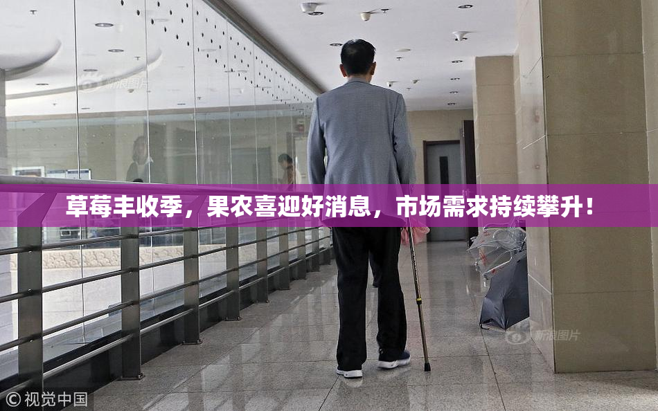 草莓丰收季，果农喜迎好消息，市场需求持续攀升！