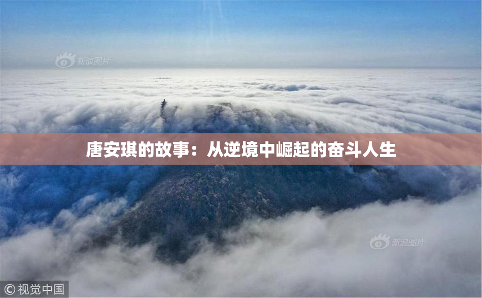 唐安琪的故事：从逆境中崛起的奋斗人生