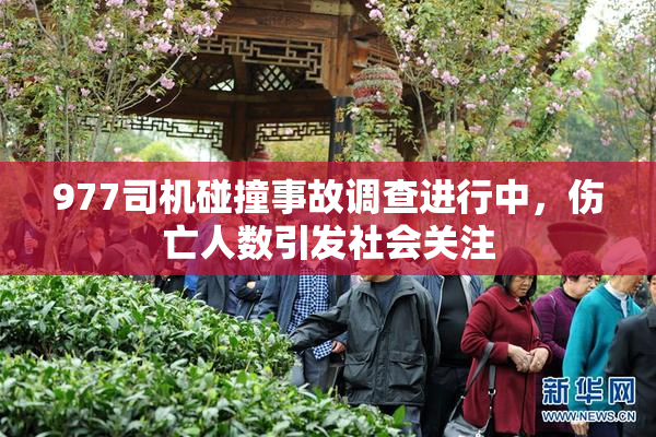977司机碰撞事故调查进行中，伤亡人数引发社会关注