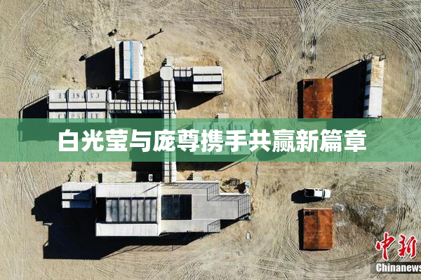 白光莹与庞尊携手共赢新篇章