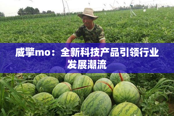 威擎mo：全新科技产品引领行业发展潮流