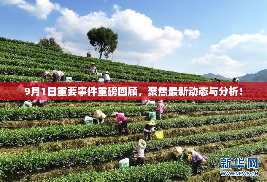 9月1日重要事件重磅回顾，聚焦最新动态与分析！