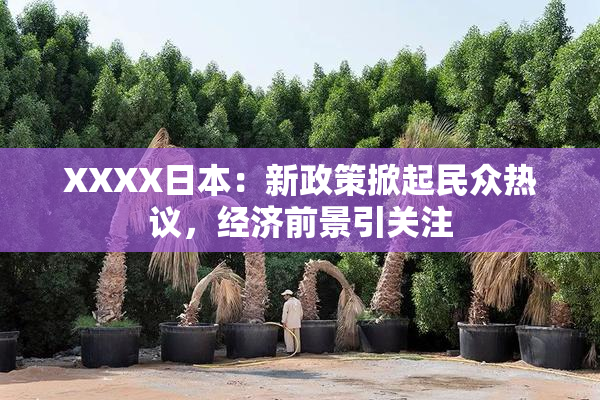 XXXX日本：新政策掀起民众热议，经济前景引关注