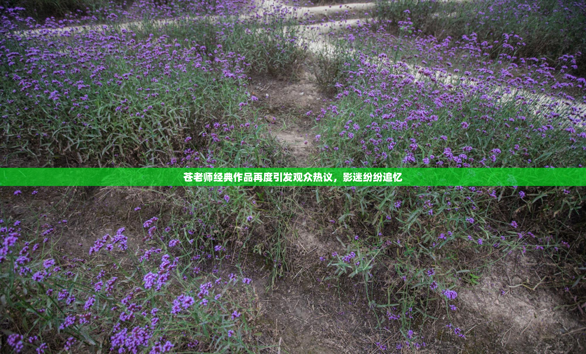 苍老师经典作品再度引发观众热议，影迷纷纷追忆