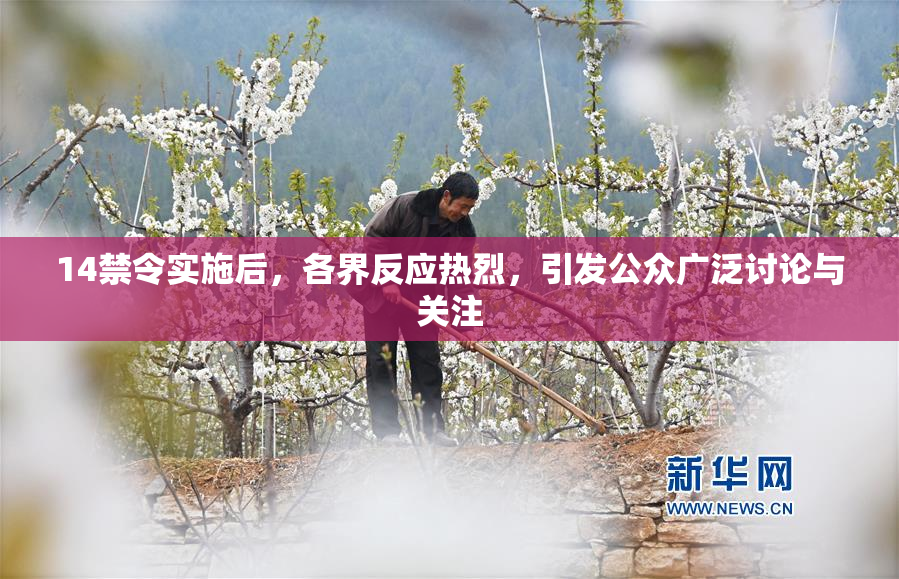 14禁令实施后，各界反应热烈，引发公众广泛讨论与关注