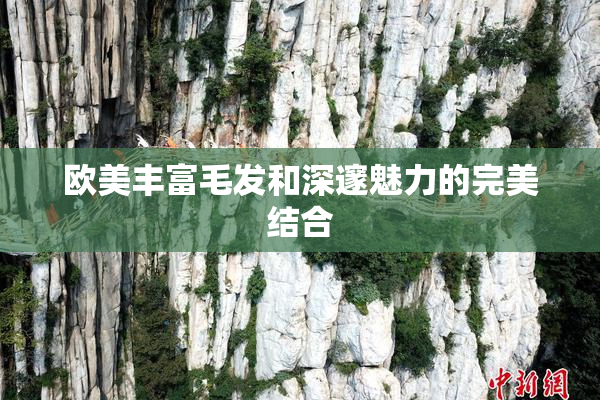 欧美丰富毛发和深邃魅力的完美结合