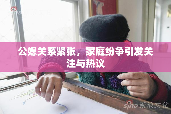 公媳关系紧张，家庭纷争引发关注与热议
