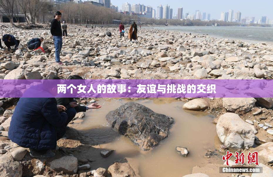 两个女人的故事：友谊与挑战的交织