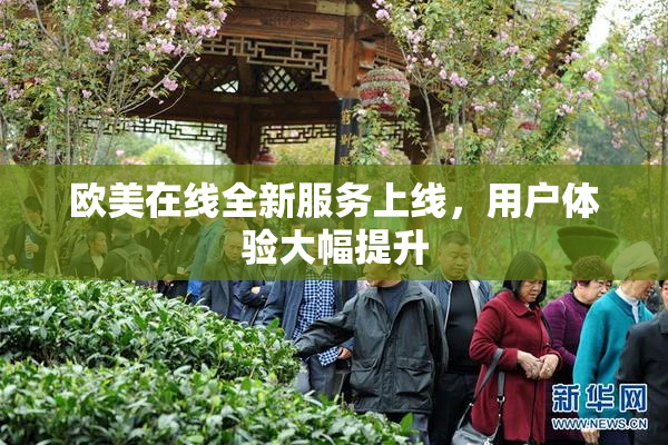 欧美在线全新服务上线，用户体验大幅提升