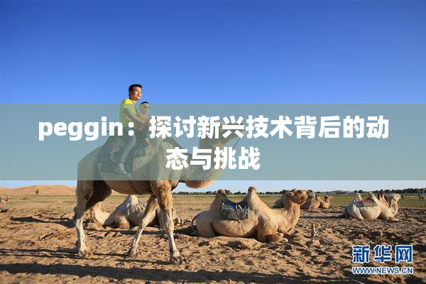 peggin：探讨新兴技术背后的动态与挑战