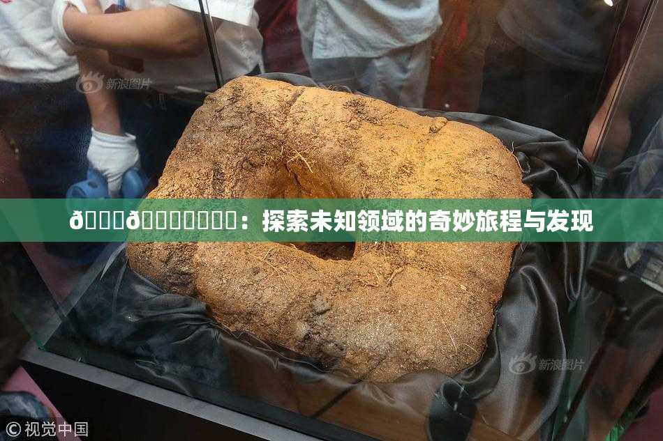 🍆🍑❌‌❌‌：探索未知领域的奇妙旅程与发现