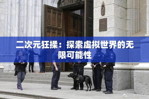 二次元狂揉：探索虚拟世界的无限可能性