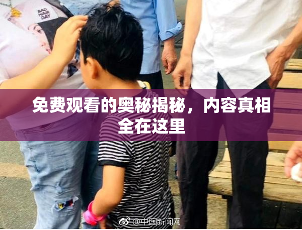 免费观看的奥秘揭秘，内容真相全在这里