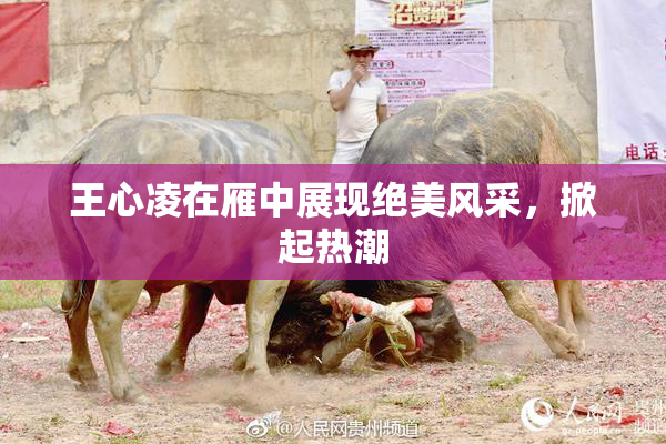王心凌在雁中展现绝美风采，掀起热潮