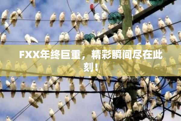 FXX年终巨重，精彩瞬间尽在此刻！