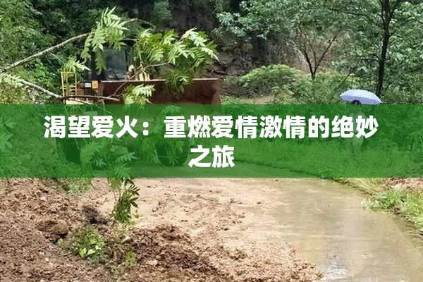 渴望爱火：重燃爱情激情的绝妙之旅
