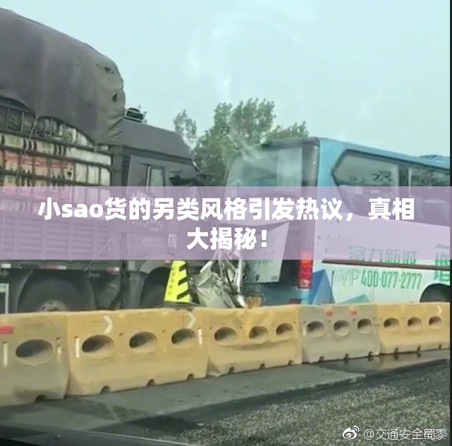 小sao货的另类风格引发热议，真相大揭秘！