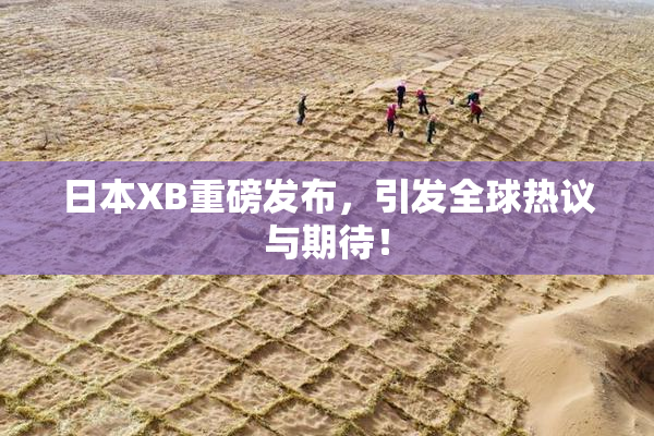 日本XB重磅发布，引发全球热议与期待！
