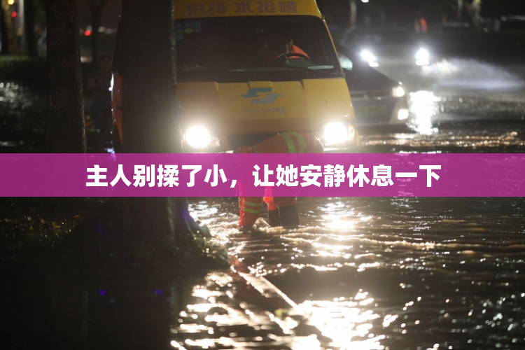 主人别揉了小，让她安静休息一下
