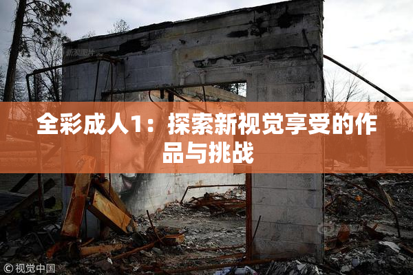 全彩成人1：探索新视觉享受的作品与挑战