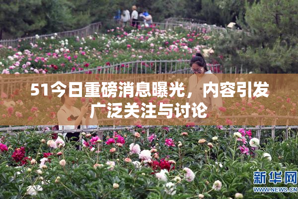 51今日重磅消息曝光，内容引发广泛关注与讨论