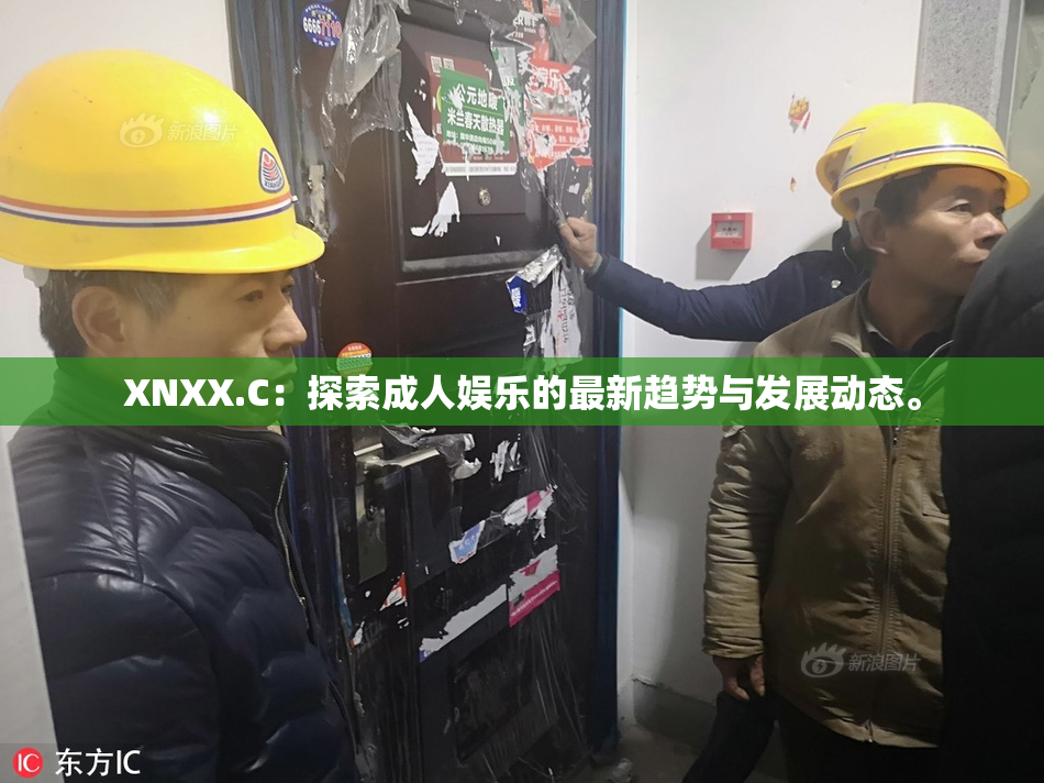 XNXX.C：探索成人娱乐的最新趋势与发展动态。