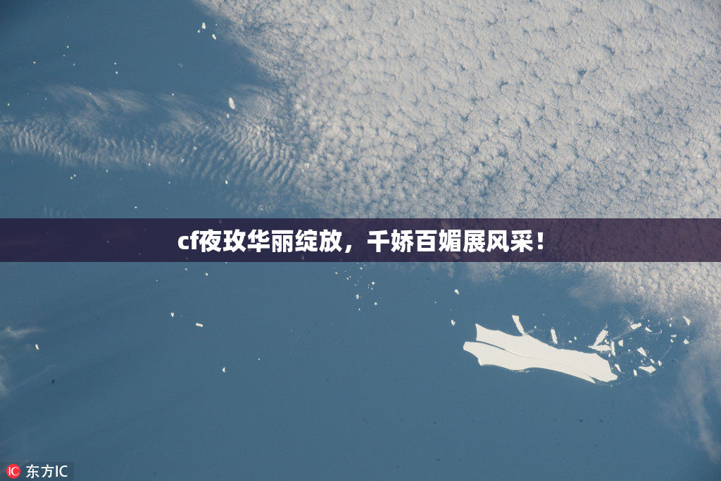 cf夜玫华丽绽放，千娇百媚展风采！
