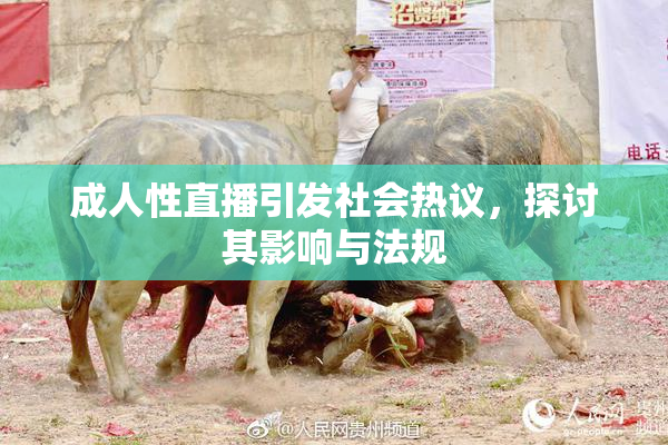 成人性直播引发社会热议，探讨其影响与法规