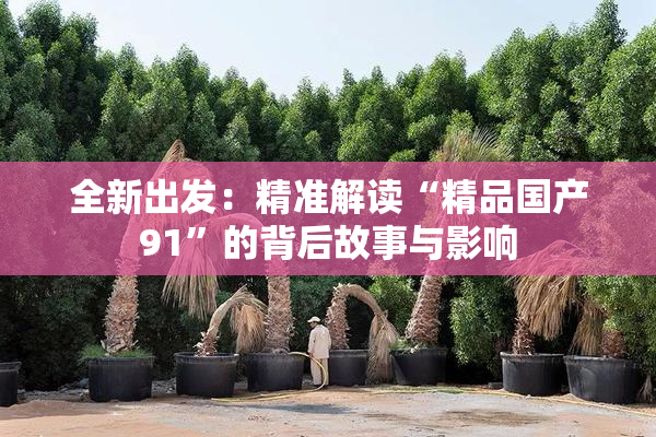 全新出发：精准解读“精品国产91”的背后故事与影响
