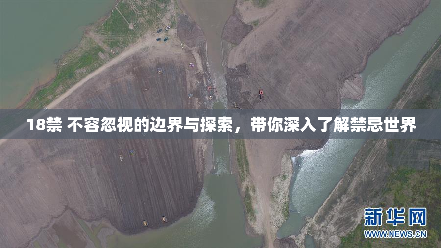 18禁 不容忽视的边界与探索，带你深入了解禁忌世界