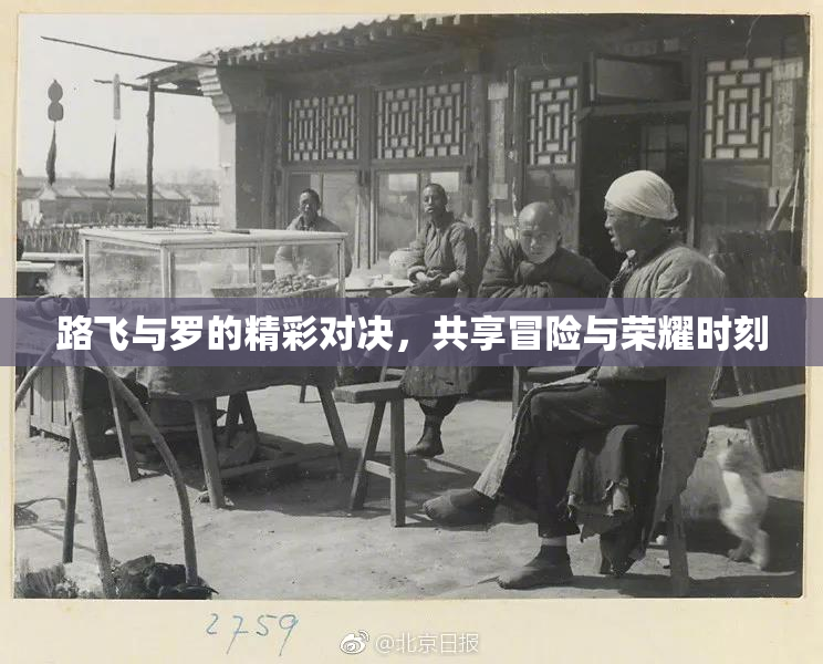路飞与罗的精彩对决，共享冒险与荣耀时刻