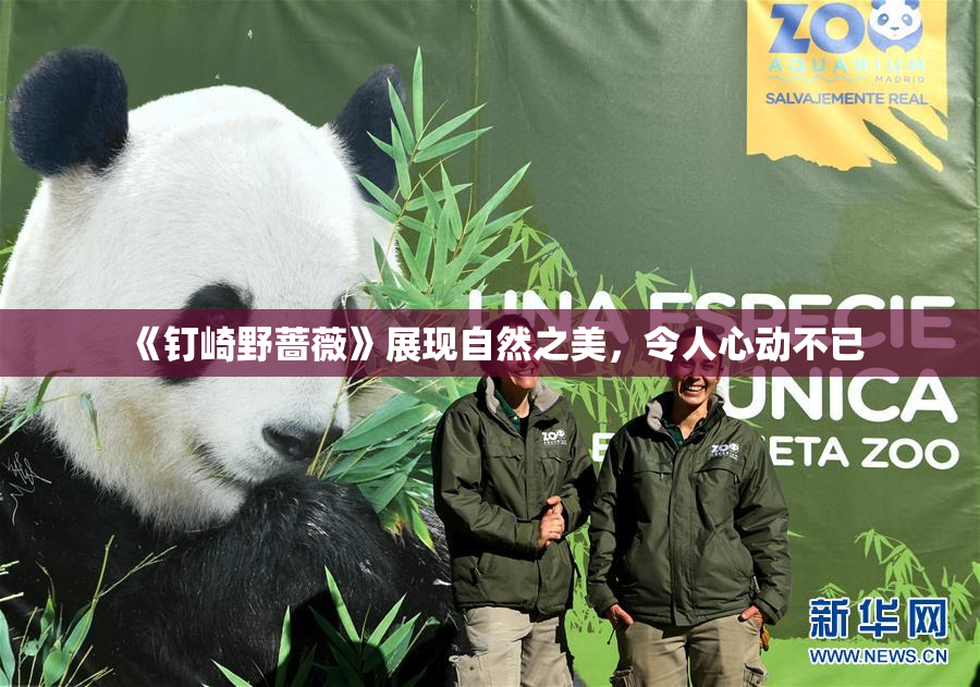 《钉崎野蔷薇》展现自然之美，令人心动不已