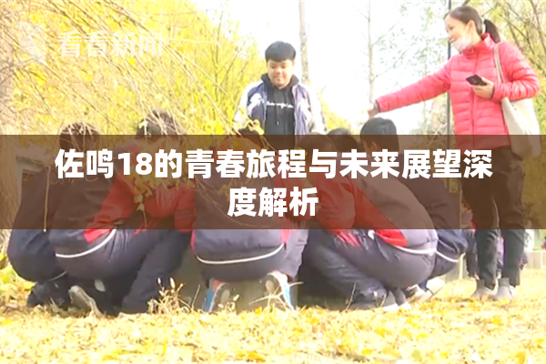 佐鸣18的青春旅程与未来展望深度解析