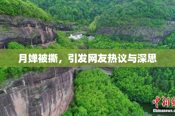 月婵被撕，引发网友热议与深思