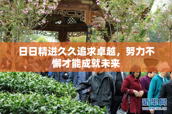 日日精进久久追求卓越，努力不懈才能成就未来