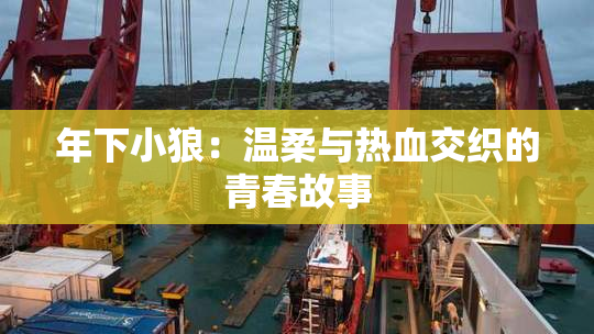 年下小狼：温柔与热血交织的青春故事