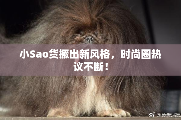 小Sao货撅出新风格，时尚圈热议不断！