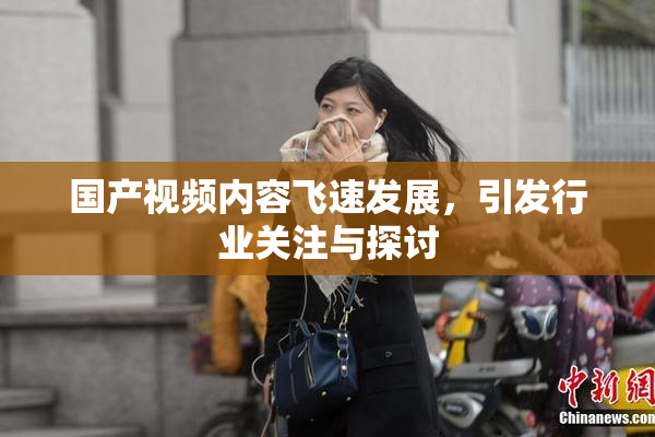 国产视频内容飞速发展，引发行业关注与探讨