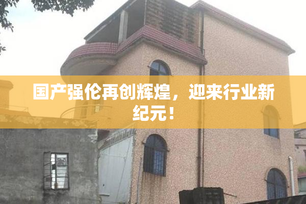 国产强伦再创辉煌，迎来行业新纪元！