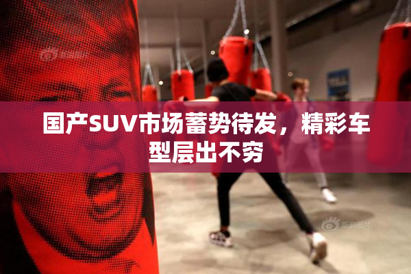 国产SUV市场蓄势待发，精彩车型层出不穷