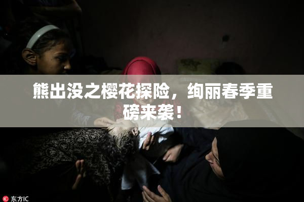 熊出没之樱花探险，绚丽春季重磅来袭！