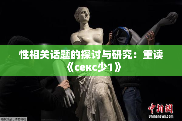 性相关话题的探讨与研究：重读《секс少1》