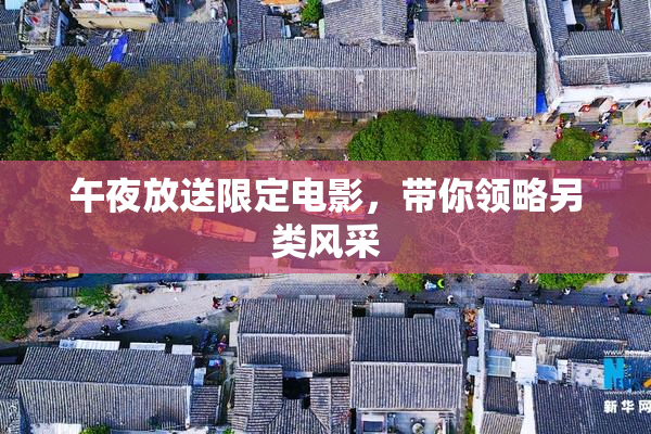 午夜放送限定电影，带你领略另类风采
