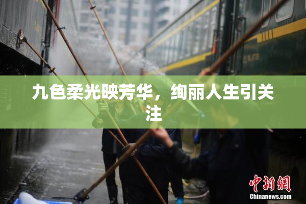 九色柔光映芳华，绚丽人生引关注