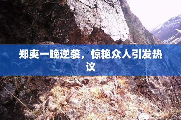 郑爽一晚逆袭，惊艳众人引发热议