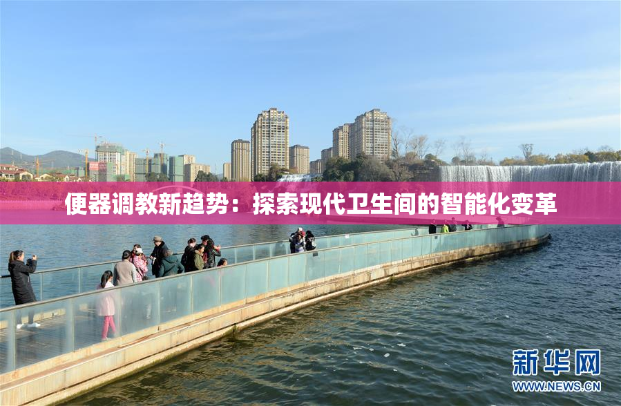 便器调教新趋势：探索现代卫生间的智能化变革