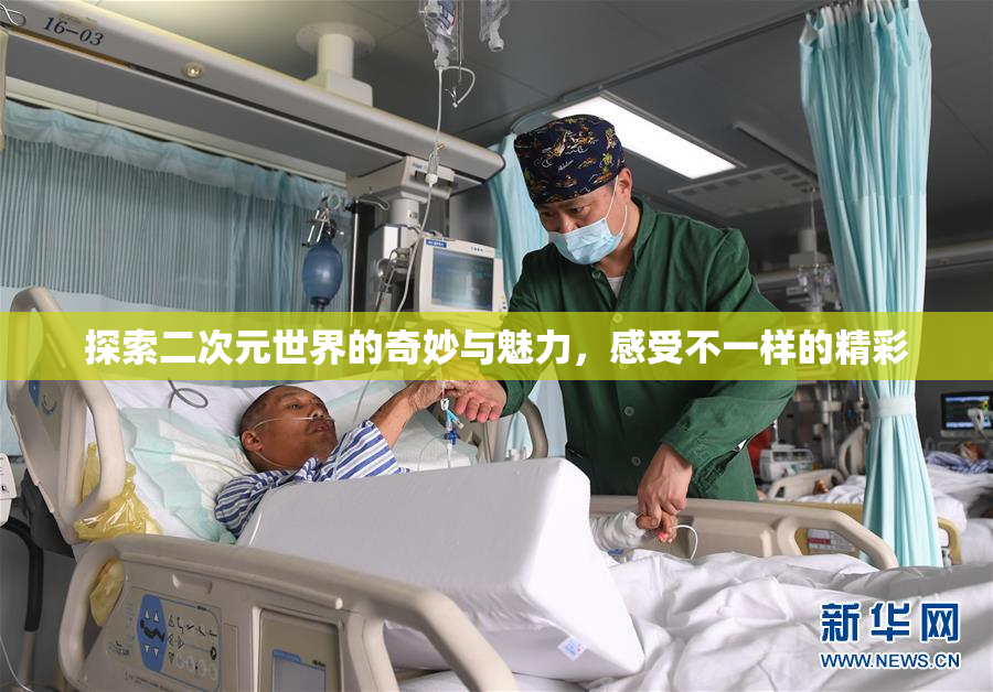 探索二次元世界的奇妙与魅力，感受不一样的精彩